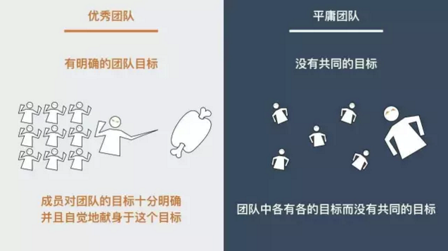 Leyu Sports-关于今夜布莱顿调整名单以备国王杯，强势反弹环节打磨，目标明确，团队化学反应显著的信息